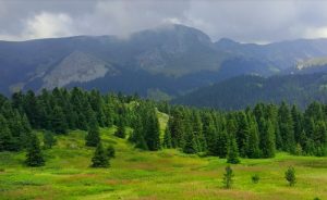 Ilgaz Dağı Milli Parkı